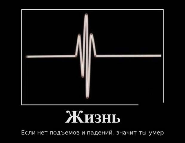 Подборка  демотиваторов демотиваторы, юмор