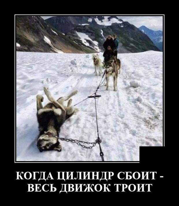 Демотиваторы 17 января 2022 года