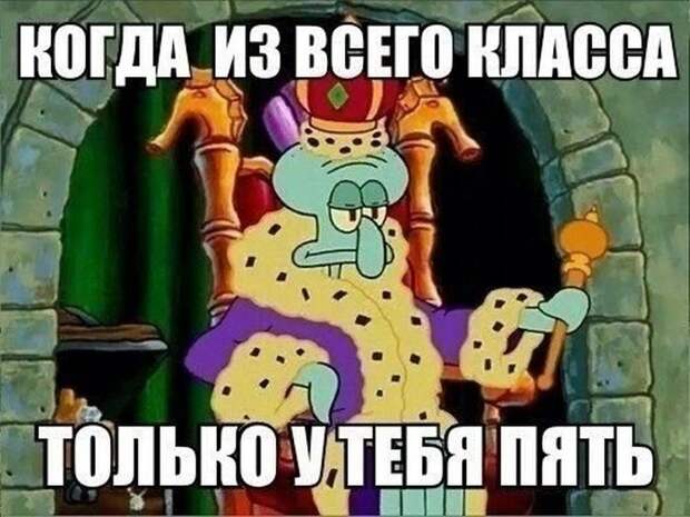 Смешные картинки с подписями катинки, прикол, юмор