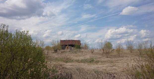 Сериал "Ходячие мертвецы" нужно было снимать в этой деревне Пензенской области  Ручим, пензенская область, россия