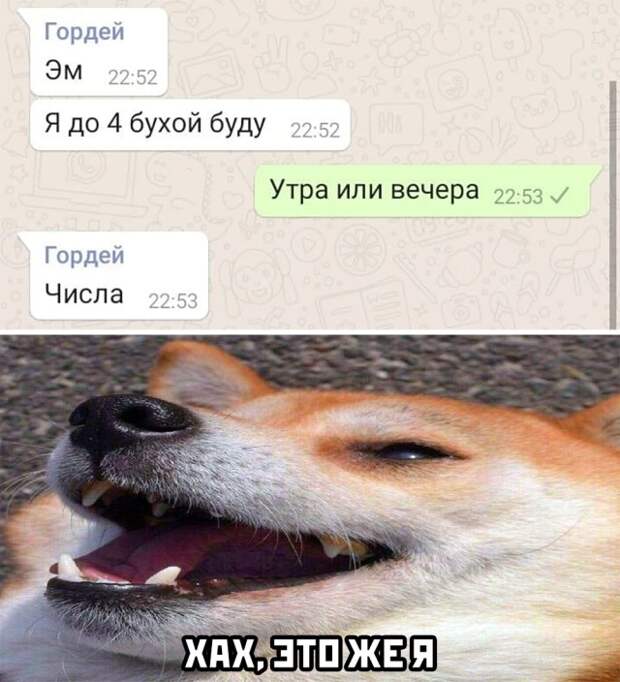 Смешные картинки 4 января 2021 года