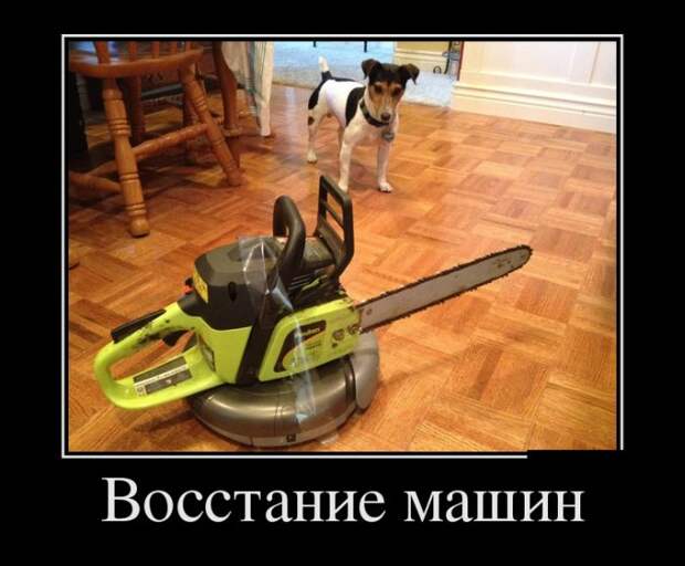 Демотиваторы (30 фото)