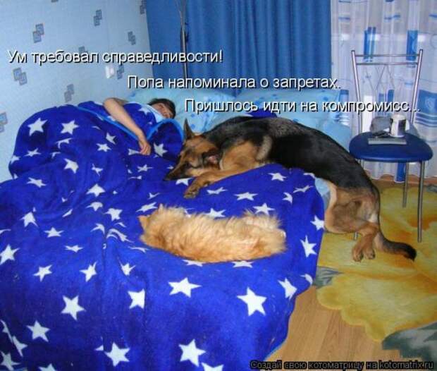 Котоматрица