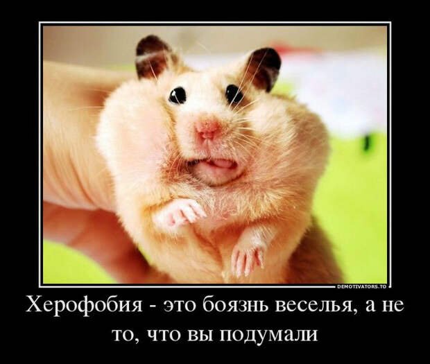Демотиваторы и мотиваторы. Демотиваторы и веселые картинки_29-05-2013