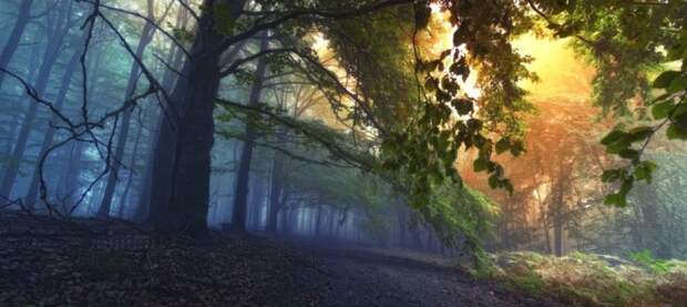 Красивые фотографии чешского фотографа Janek Sedlar
