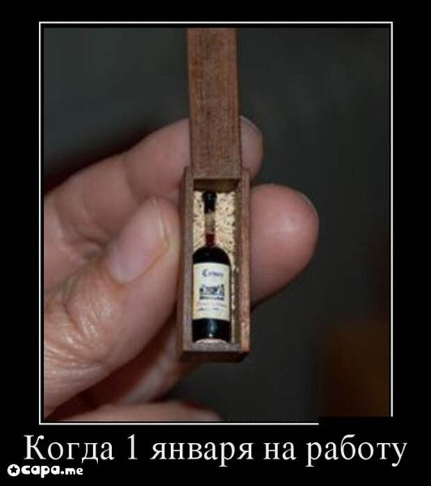Подборка новогодних демотиваторов