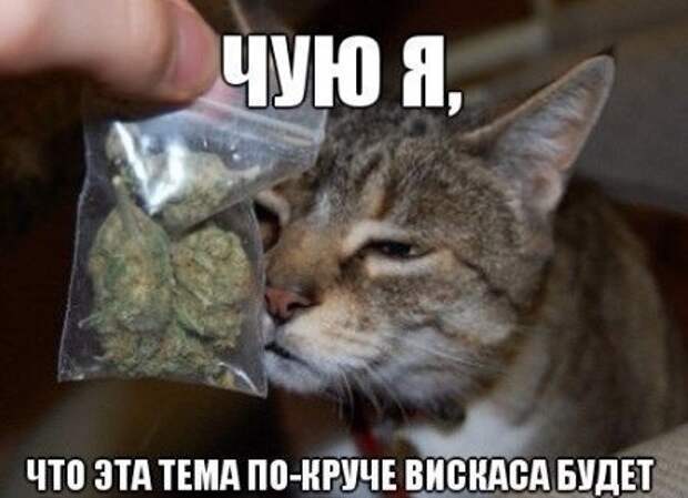 Всяко - разно 45 ))) Всяко - разно 45 )))