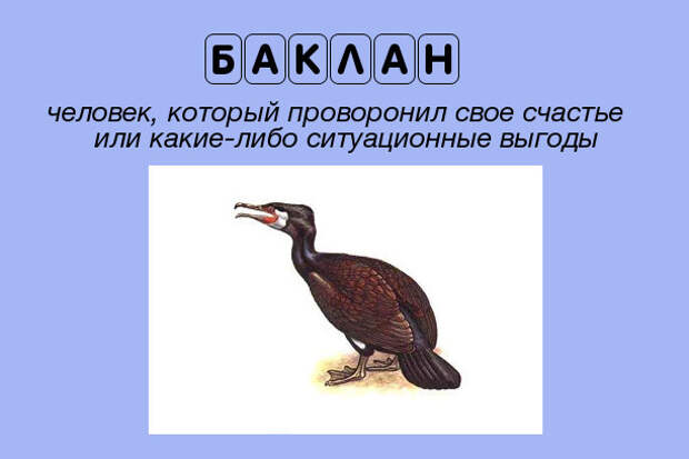 Бакланы текст