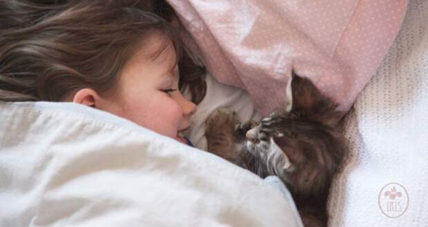 5-летняя девочка аутист и ее терапевтическая кошка Тула айрис грейс  (11)