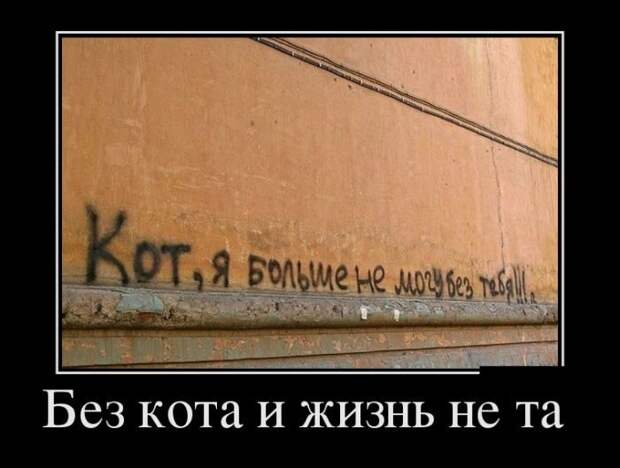 Прикольные демотиваторы