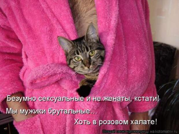 Котоматрицы (картинки с надписями)