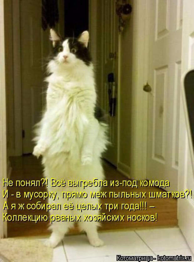 1433454577_08 (519x700, 339Kb)