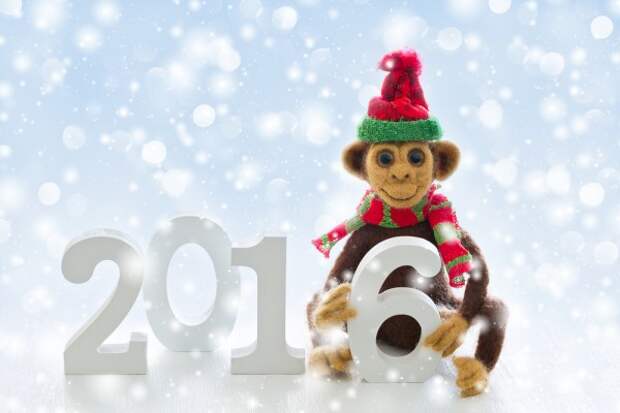 Новый 2016 год – это год Обезьяны
