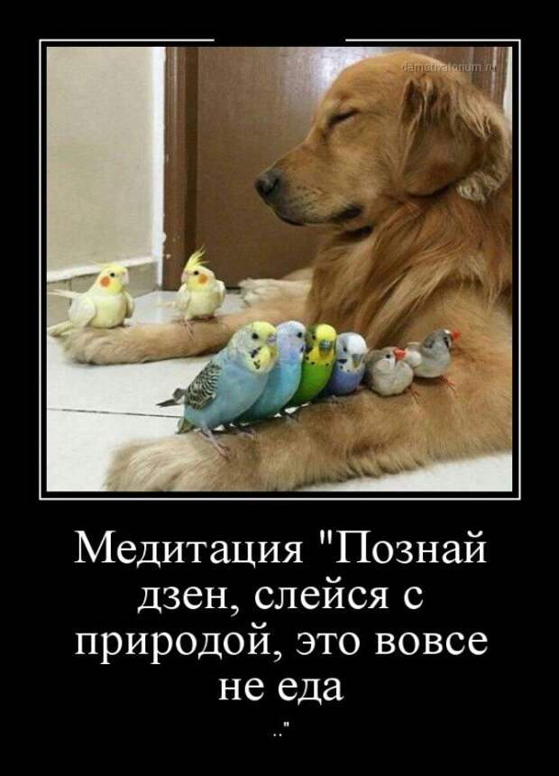 Демотиваторы (30 фото)