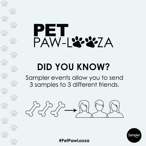 PetPawLooza_QT_3Samples3Friends