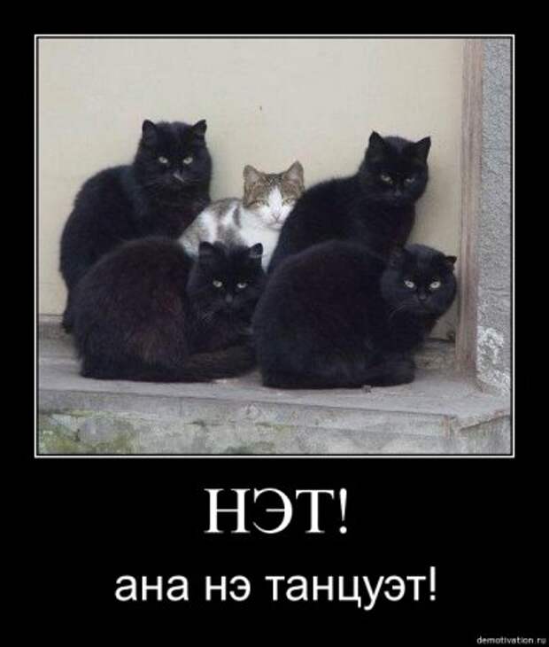 Демотиваторы прикольные которые заставляют задуматься.