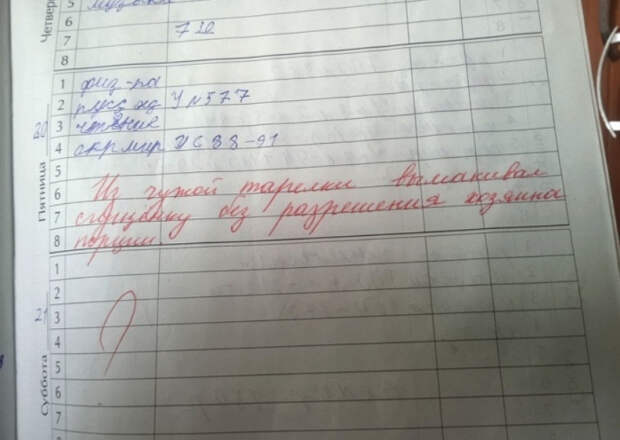 смешная запись в дневнике школьника