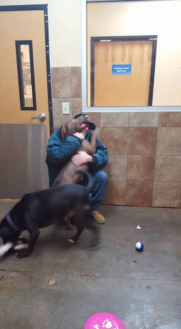 Придя в центр, он испытал шок - ему выставили счет в $250 за то, что он заберет собак... ветеран, животные, собака