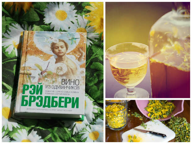 То самое вино из одуванчиков дача, рецепты, сорняки