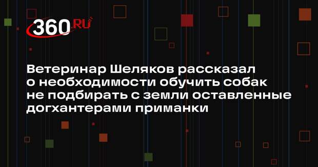 Ветеринар Шеляков рассказал о необходимости обучить собак не подбирать с земли оставленные догхантерами приманки