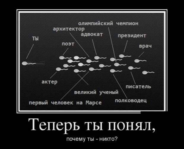 Демотиваторы демотиваторы