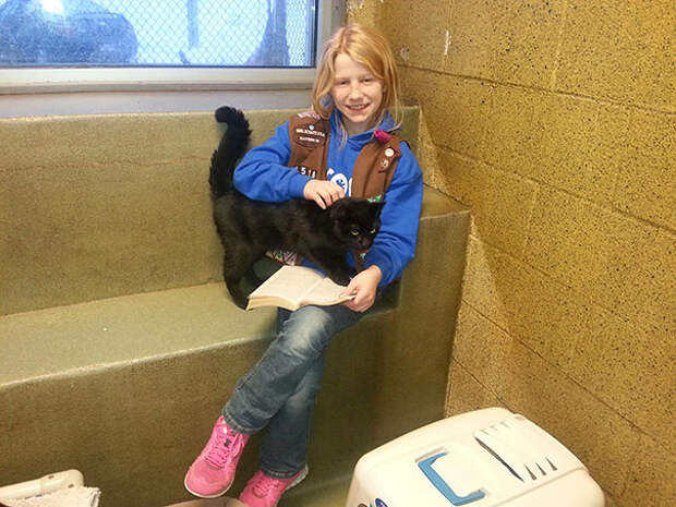 reading-children-shelter-cats-book-buddies-14