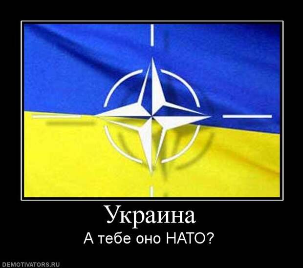 Горячая тема: Украина: НАТО продолжает использовать Украину.