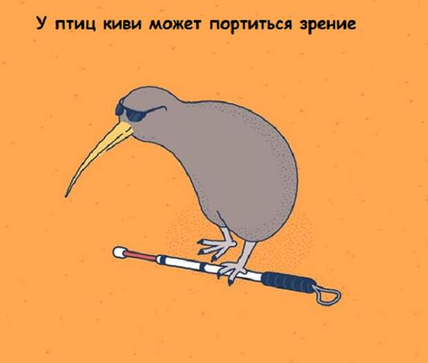 www.vsyako.net