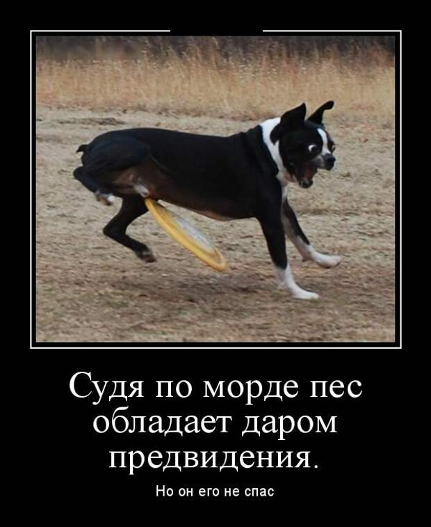 Демотиваторы (30 фото)