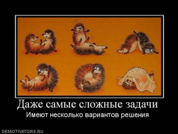 Все самое прикольное в одной подборке демотиваторов.