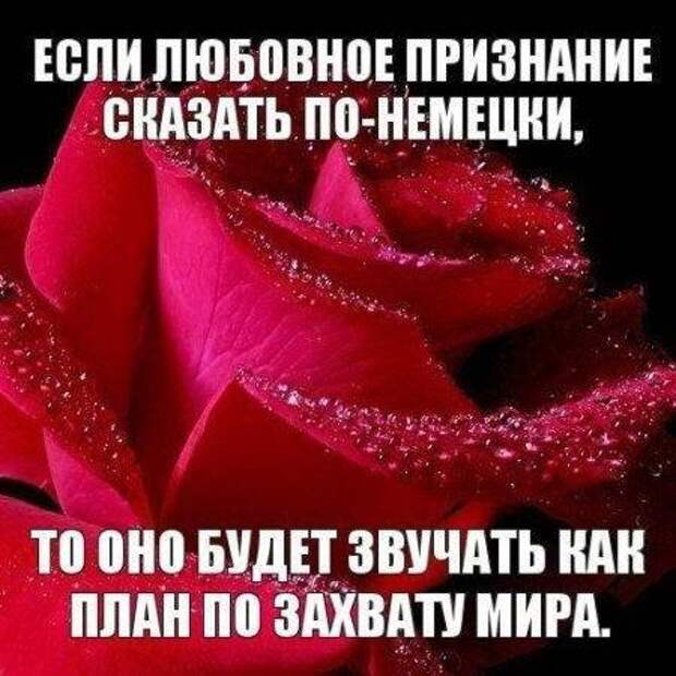 Приколы в картинках Приколы в картинках