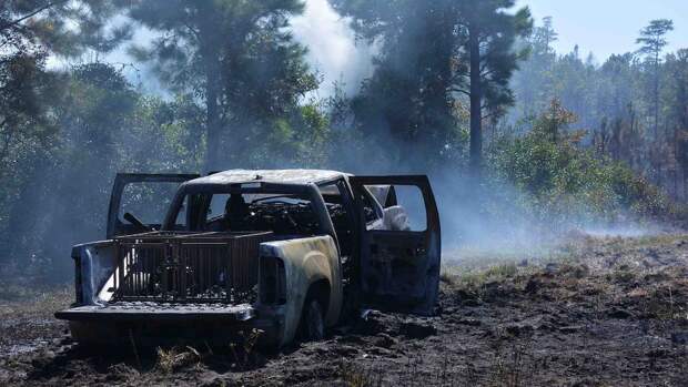 Охотники сожгли два гектара леса, пытаясь спасти застрявший пикап 1
