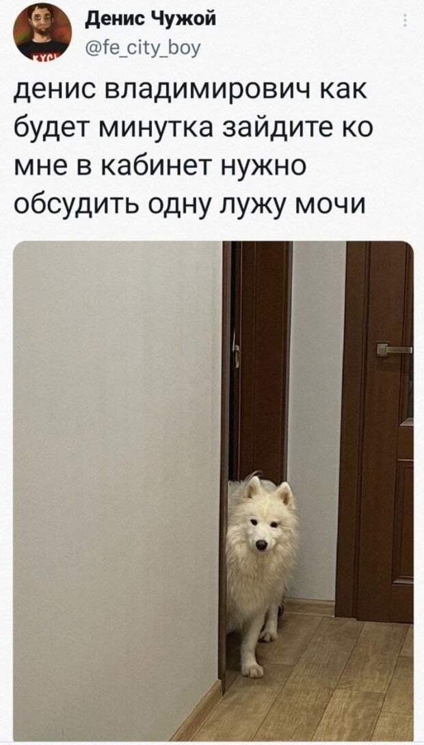 Подборка забавных твитов обо всем