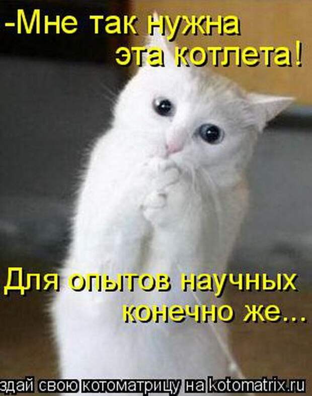 Мысли вслух :)