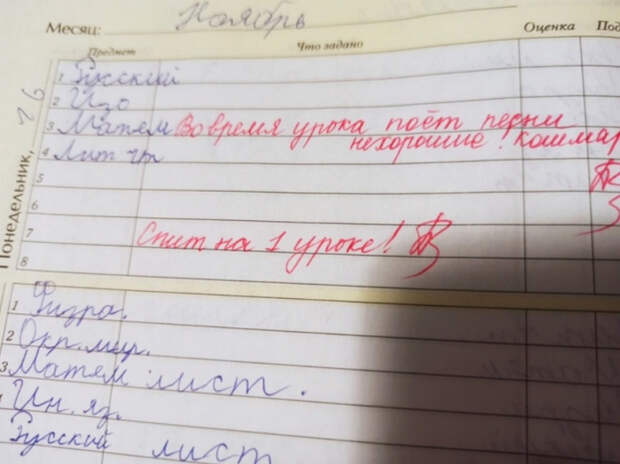 смешная запись в дневнике школьника
