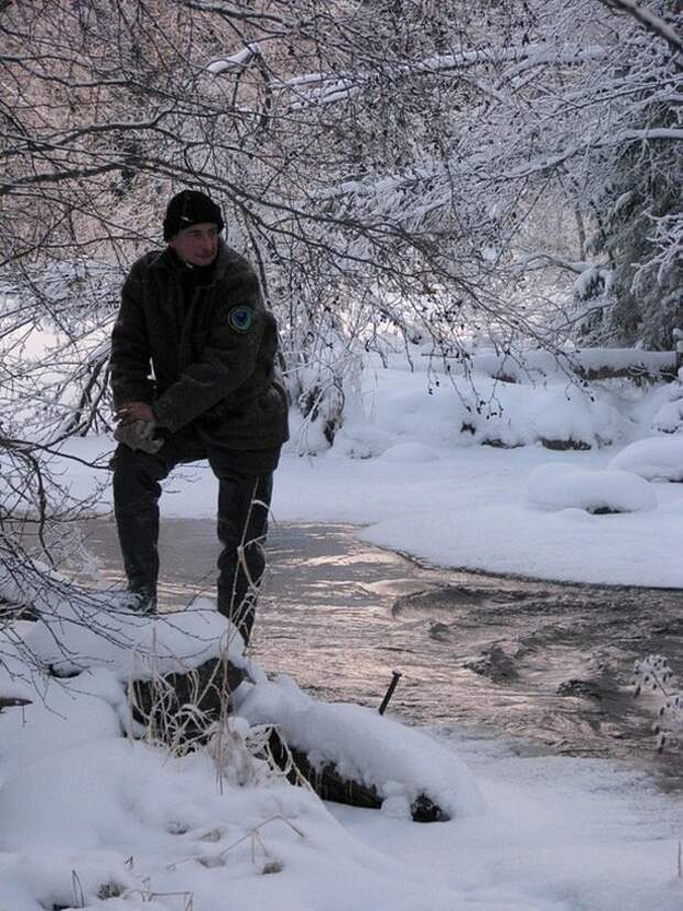 Отпуск в лесу