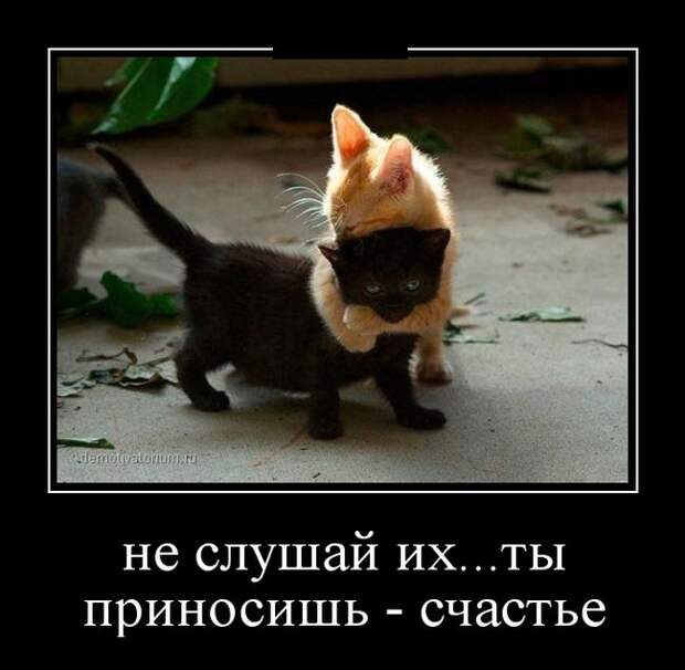 Демотиваторы демотиваторы