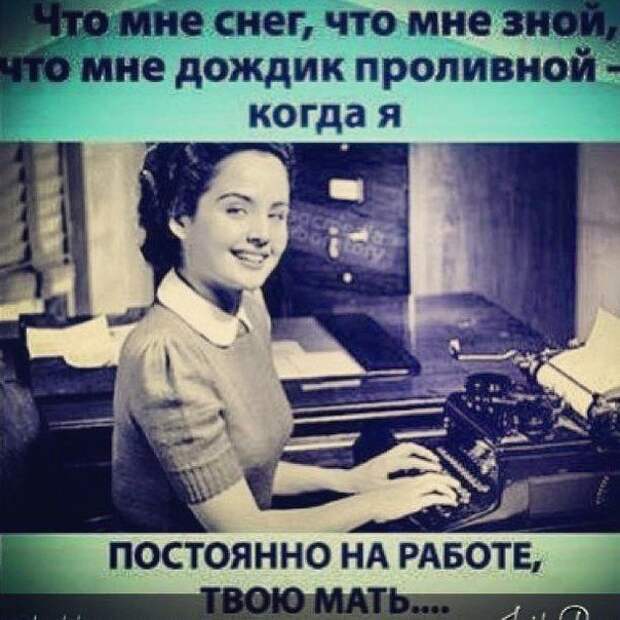 Прикольные картинки Прикольные картинки