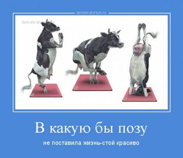 Прикольные демотиваторы (15 шт)