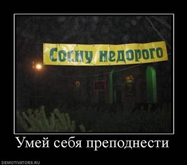 Новые демотиваторы, супер картинки и прикольные надписи.