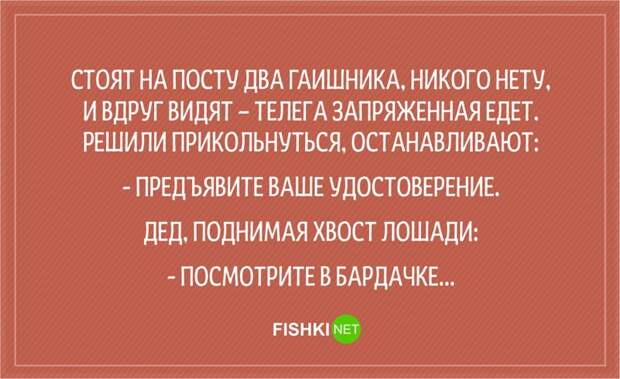 20 анекдотов о сотрудниках ГИБДД Анекдоты, гаи, гибдд