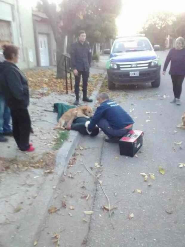 Пёс обнял пострадавшего хозяина лапами и не сдвинулся с места…