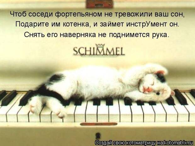 Мысли вслух :)