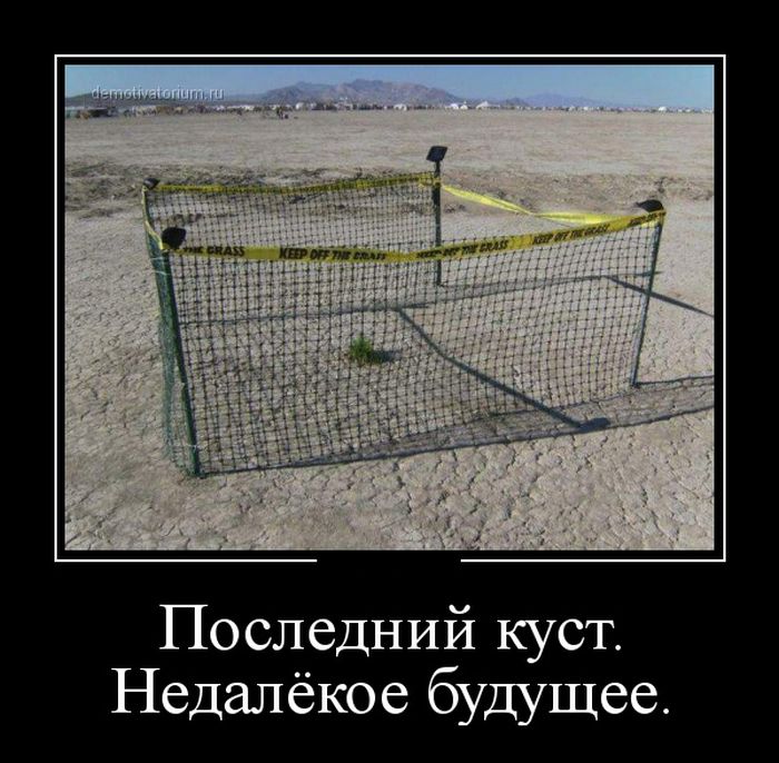 Демотиваторы №1043 (30 фото)