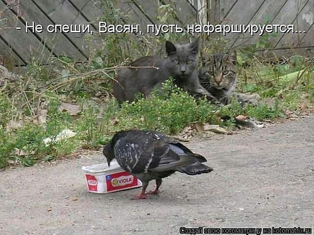 image (639x480, 280Kb)