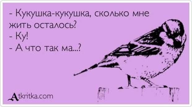 Приколы в аткрытках.