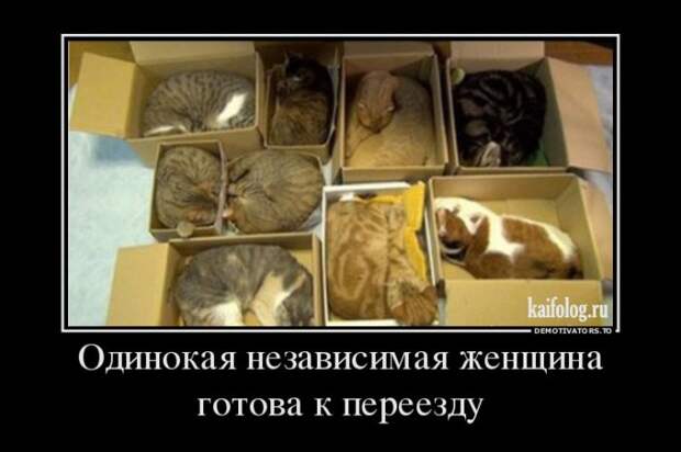 Смешные демы - 264 (50 картинок)