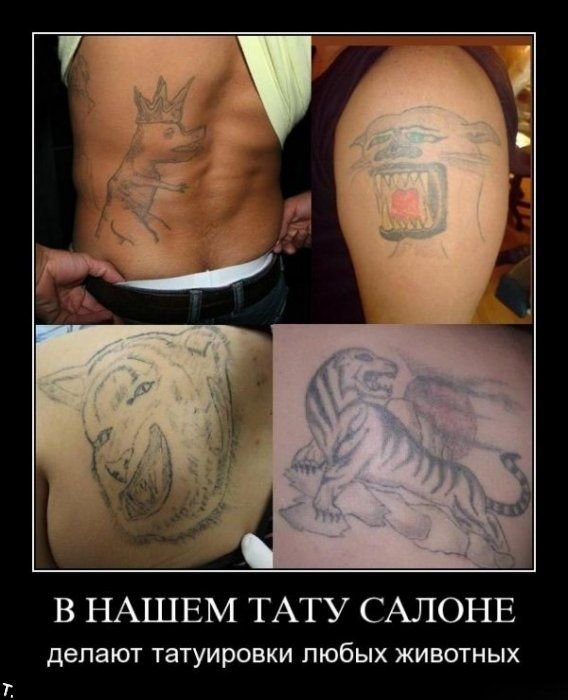 Подборка демотиваторов (84 фото)