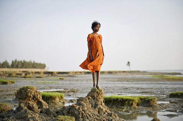 sony-world-photography-awards-2013 (29)