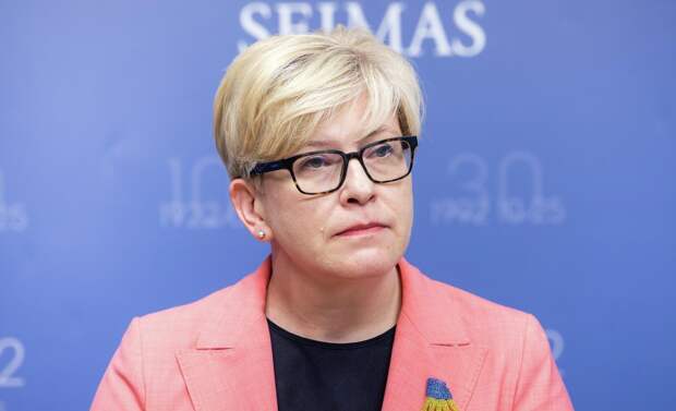 FT: Литва может отказать украинским уклонистам в ПМЖ